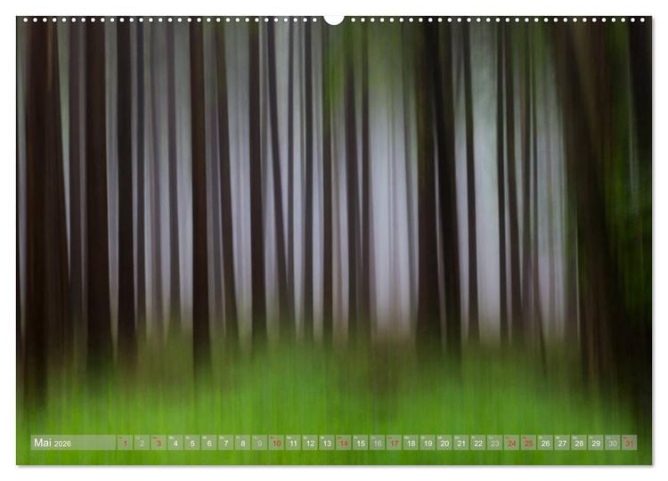 Produktbild: Atelier Wald - gemalt mit Licht (Wandkalender 2026 DIN A2 quer), CALVENDO Monatskalender