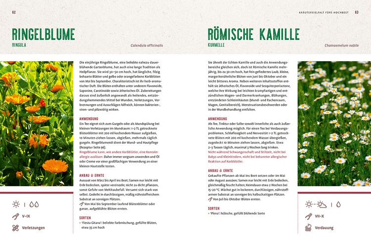 Produktbild: Mein Heilpflanzen-Hochbeet