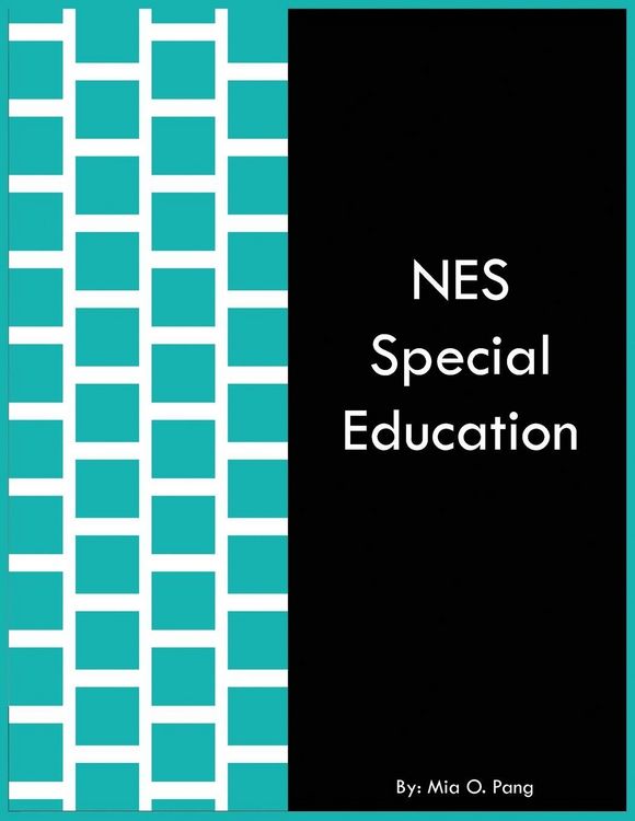 Produktbild: NES Special Education
