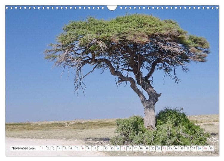 Produktbild: Namibia, Faszination W&uuml;ste und Tierwelt (Wandkalender 2026 DIN A3 quer), CALVENDO Monatskalender