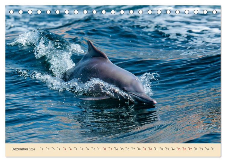 Produktbild: Musandam - Die omanische Exklave im geheimnisvollen Orient (Tischkalender 2026 DIN A5 quer), CALVENDO Monatskalender