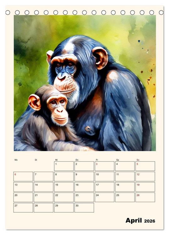 Produktbild: Schimpansen & Gorillas (Tischkalender 2026 DIN A5 hoch), CALVENDO Monatskalender