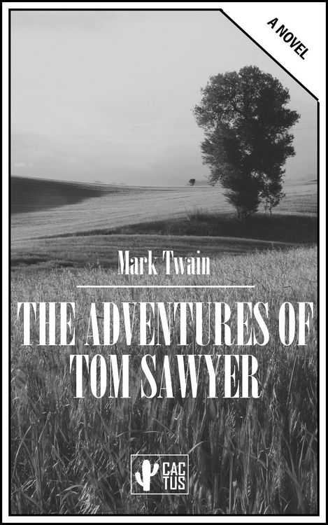 Produktbild: Adventures of Tom Sawyer