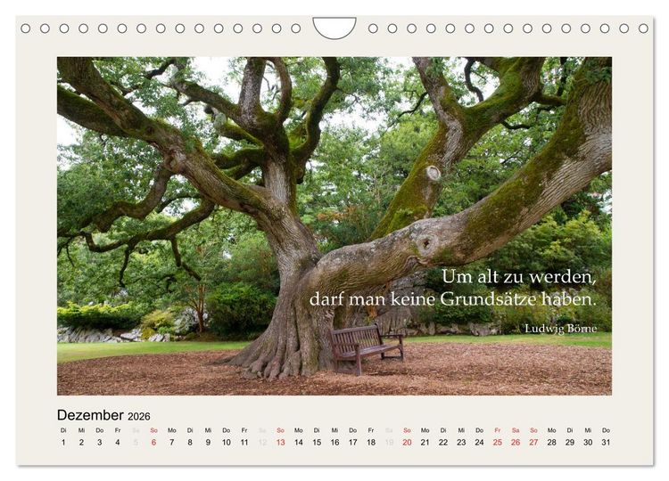 Produktbild: Hirnyoga (Wandkalender 2026 DIN A4 quer), CALVENDO Monatskalender