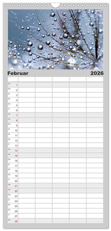 Produktbild: Familienplaner 2026 - Naturjuwel Pusteblume mit 5 Spalten (Wandkalender, 21 x 45 cm) CALVENDO