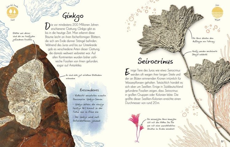 Produktbild: Wundervolle Welt - Kleine Sch&auml;tze. Fossilien
