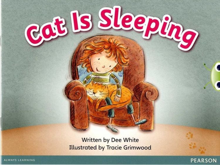 Produktbild: Bug Club Guided Fiction Reception Pink A Cat is Sleeping