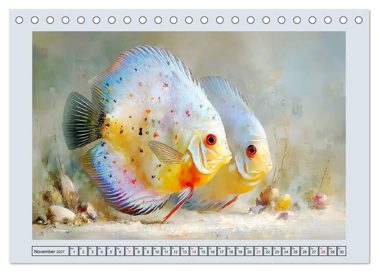 Produktbild: Diskusfische. Buntbarsche im S&uuml;&szlig;wasserbecken (Tischkalender 2027 DIN A5 quer), CALVENDO Monatskalender