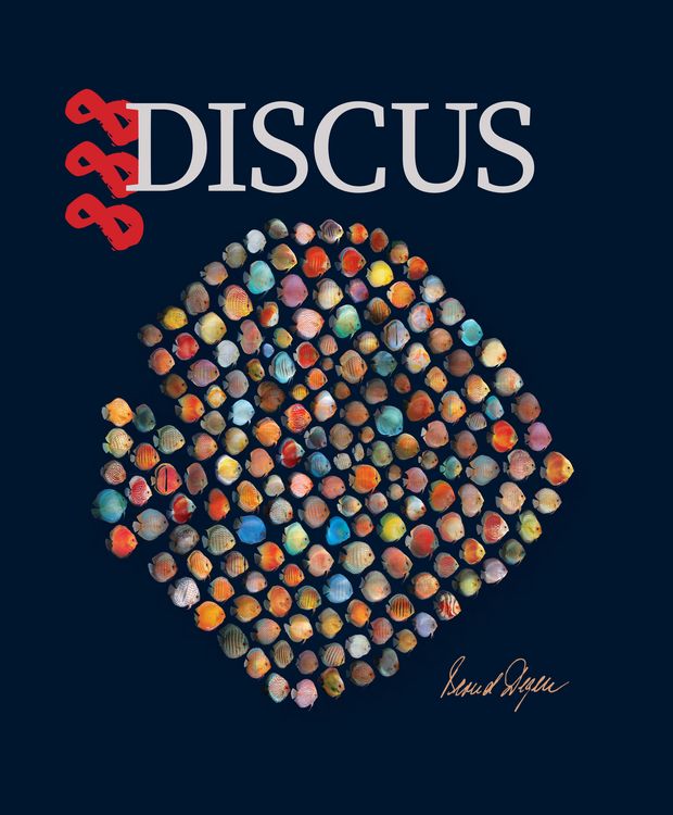 Produktbild: 888 Discus