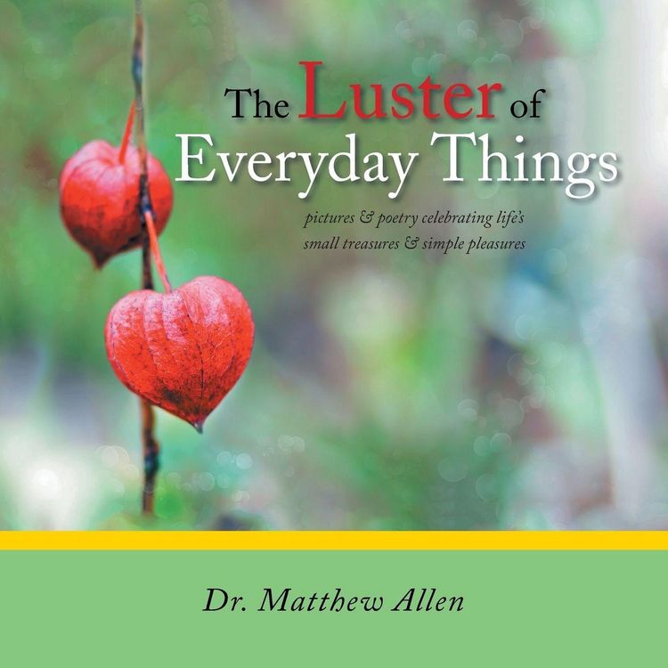 Produktbild: The Luster of Everyday Things