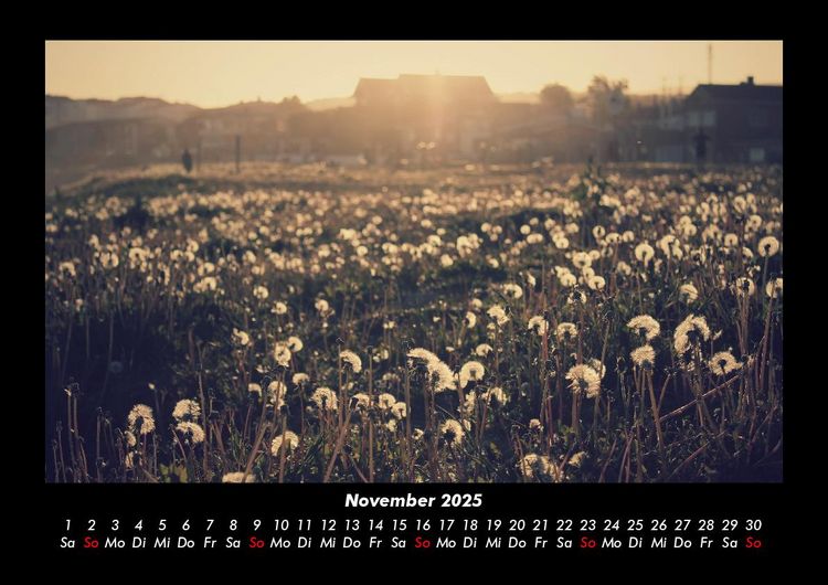 Produktbild: Blumenkalender 2025 Fotokalender DIN A3