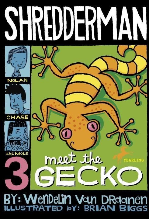 Produktbild: Shredderman: Meet the Gecko