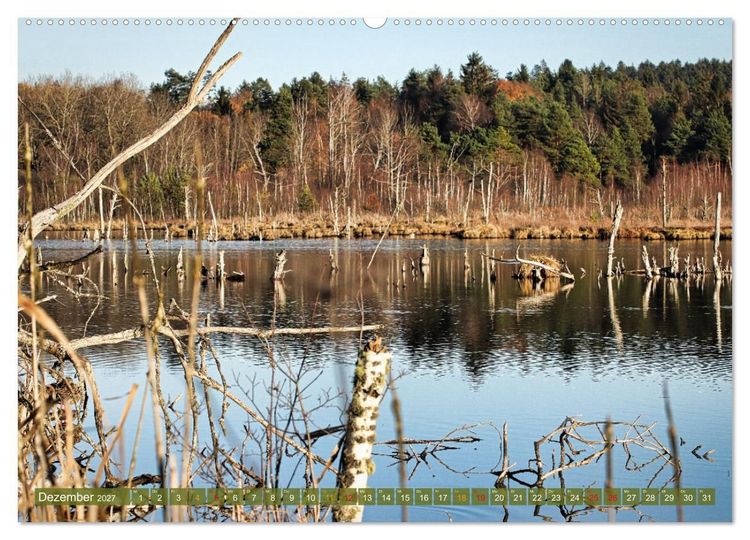 Produktbild: Das Regenmoor auf der Baar (hochwertiger Premium Wandkalender 2027 DIN A2 quer), Kunstdruck in Hochglanz