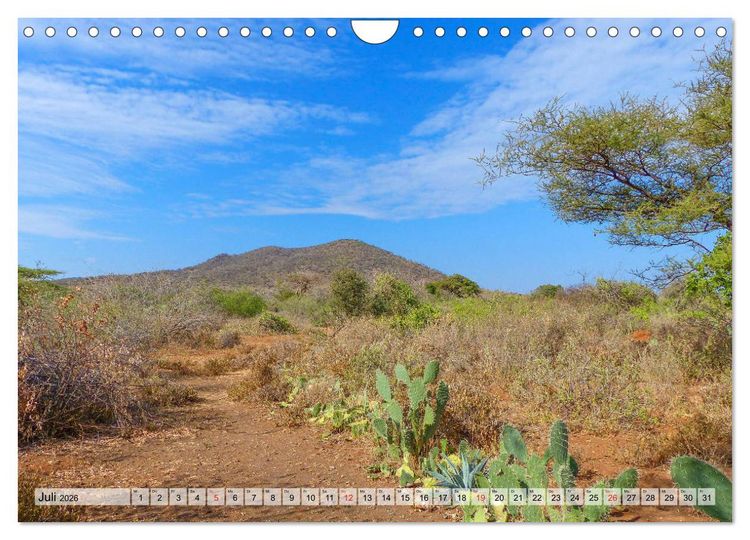 Produktbild: Tansania. Impressionen aus Ostafrika (Wandkalender 2026 DIN A4 quer), CALVENDO Monatskalender
