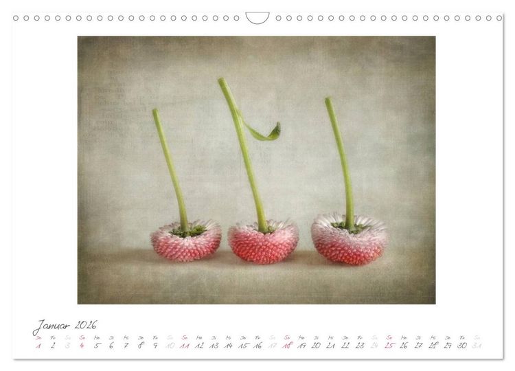 Produktbild: Vintage Flowers (Wandkalender 2026 DIN A3 quer), CALVENDO Monatskalender