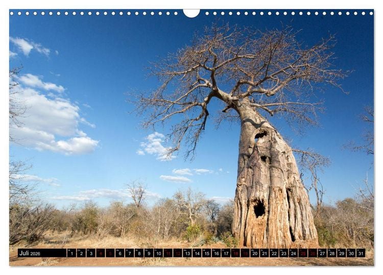 Produktbild: Faszination Simbabwe (Wandkalender 2026 DIN A3 quer), CALVENDO Monatskalender