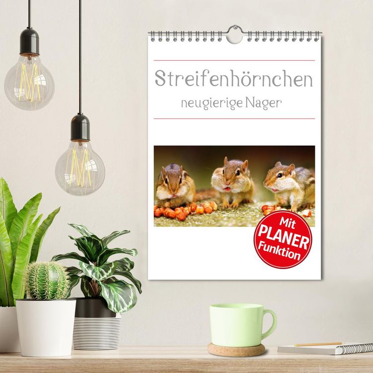 Produktbild: Streifenh&ouml;rnchen - neugierige Nager (Wandkalender 2026 DIN A4 hoch), CALVENDO Monatskalender