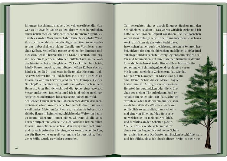 Produktbild: Zeit zum Durchatmen