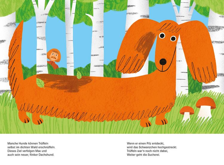 Produktbild: Eine bunte Hunderunde