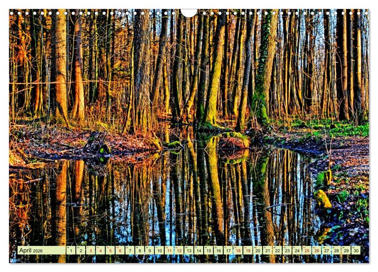 Produktbild: Verwunschene Waldtr&auml;ume: Ein Kalender voller Magie (Wandkalender 2026 DIN A3 quer), CALVENDO Monatskalender