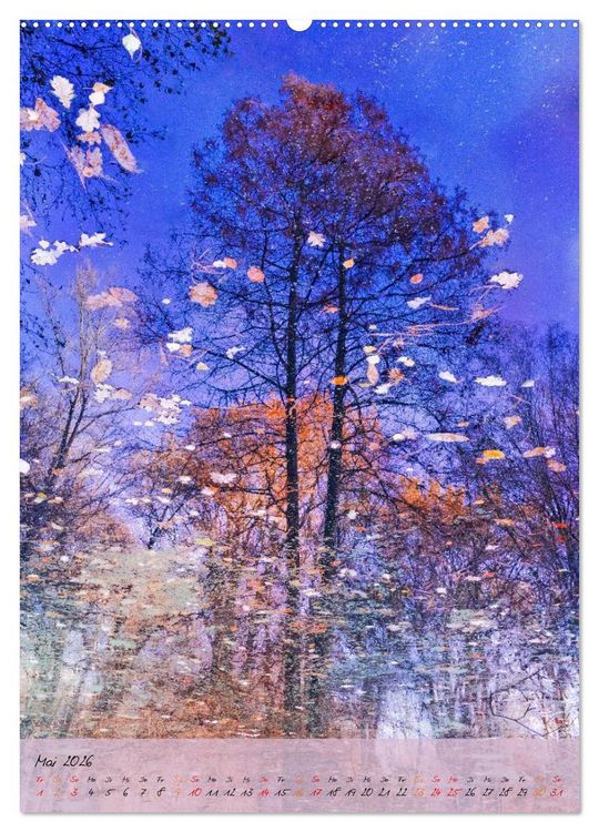 Produktbild: Wo der Wald tr&auml;umt (Wandkalender 2026 DIN A2 hoch), CALVENDO Monatskalender