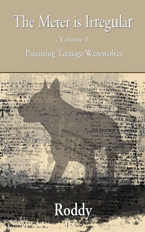 Produktbild: The Meter Is Irregular - Parenting Teenage Werewolves
