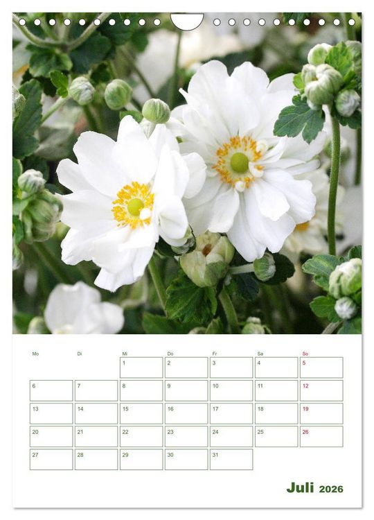 Produktbild: Wei&szlig;e Bl&uuml;ten im Gr&uuml;nen (Wandkalender 2026 DIN A4 hoch), CALVENDO Monatskalender