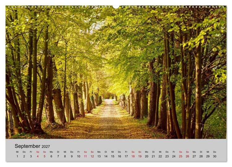 Produktbild: Biosph&auml;renreservat Schaalsee (Wandkalender 2027 DIN A2 quer), CALVENDO Monatskalender