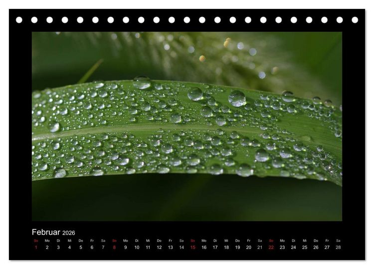 Produktbild: Meine kleine gr&uuml;ne Wassertropfen Welt (Tischkalender 2026 DIN A5 quer), CALVENDO Monatskalender