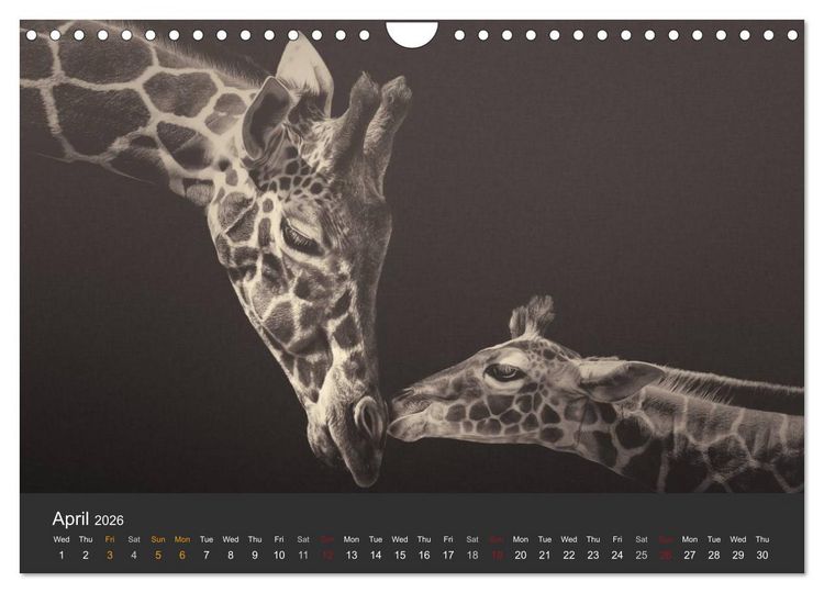 Produktbild: African Souls African animals with soul (Wall Calendar 2026 DIN A4 landscape), CALVENDO 12 Month Wall Calendar