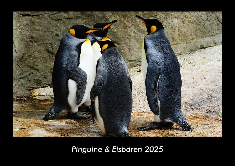 Produktbild: Pinguine & Eisb&auml;ren 2025 Fotokalender DIN A3