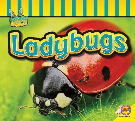 Produktbild: Ladybugs
