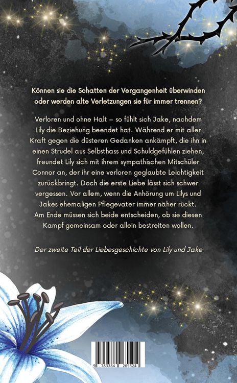 Produktbild: Haltlos - Lily und Jake