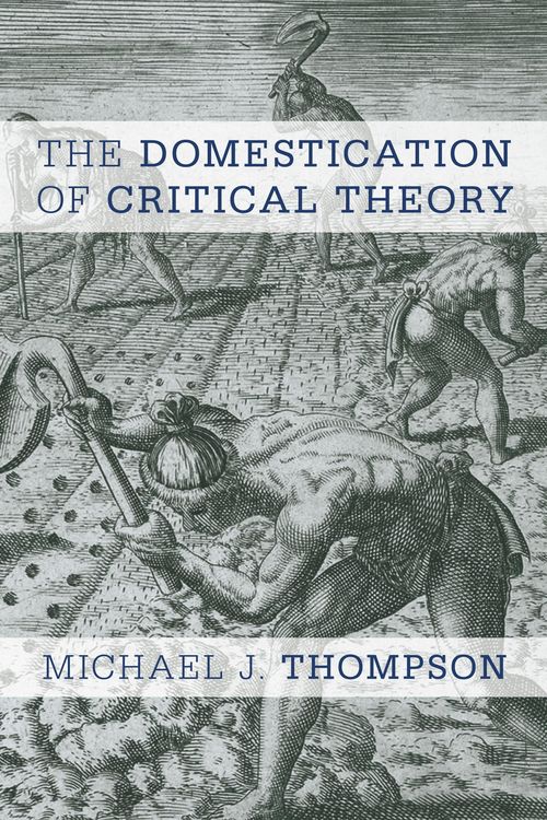 Produktbild: The Domestication of Critical Theory