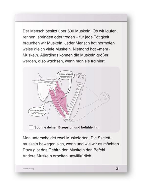 Produktbild: Ich kenne meinen K&ouml;rper - 3 Arbeitshefte im Set