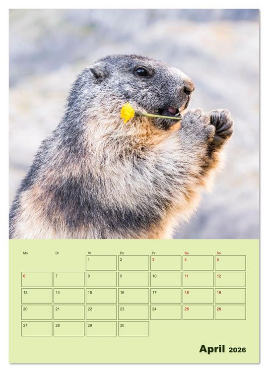 Produktbild: H&ouml;rnchen aus aller Welt (Wandkalender 2026 DIN A3 hoch), CALVENDO Monatskalender