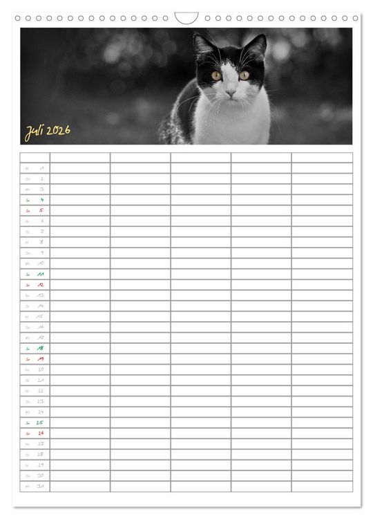 Produktbild: Miezekatzen Planungskalender (Wandkalender 2026 DIN A3 hoch), CALVENDO Monatskalender