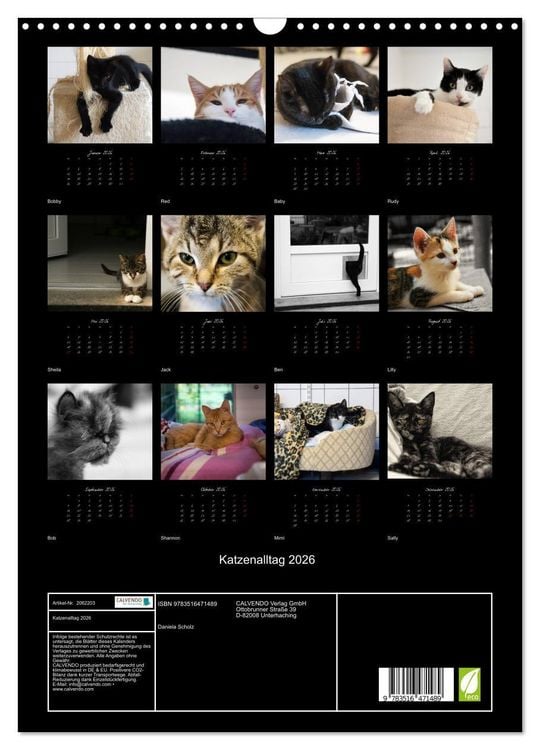 Produktbild: Katzenalltag 2026 (Wandkalender 2026 DIN A3 hoch), CALVENDO Monatskalender