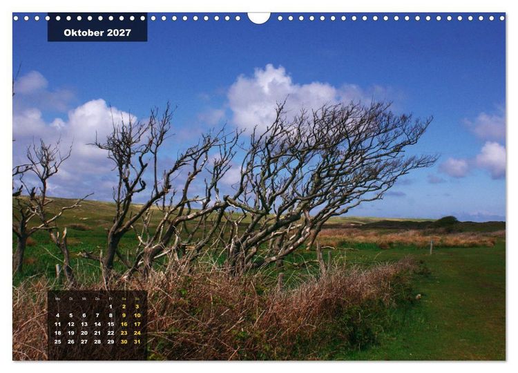 Produktbild: Texel Insel mit Charakter (Wandkalender 2027 DIN A3 quer), CALVENDO Monatskalender