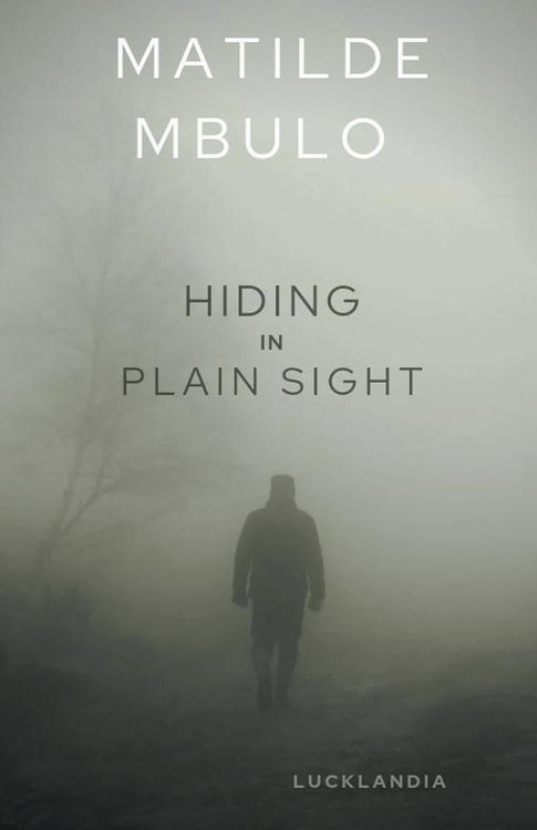 Produktbild: Hiding In Plain Sight