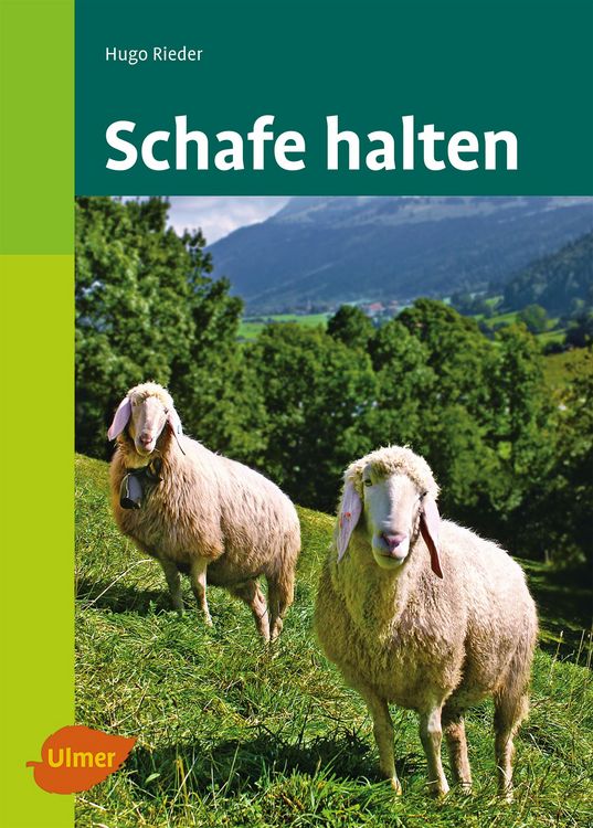 Produktbild: Schafe halten