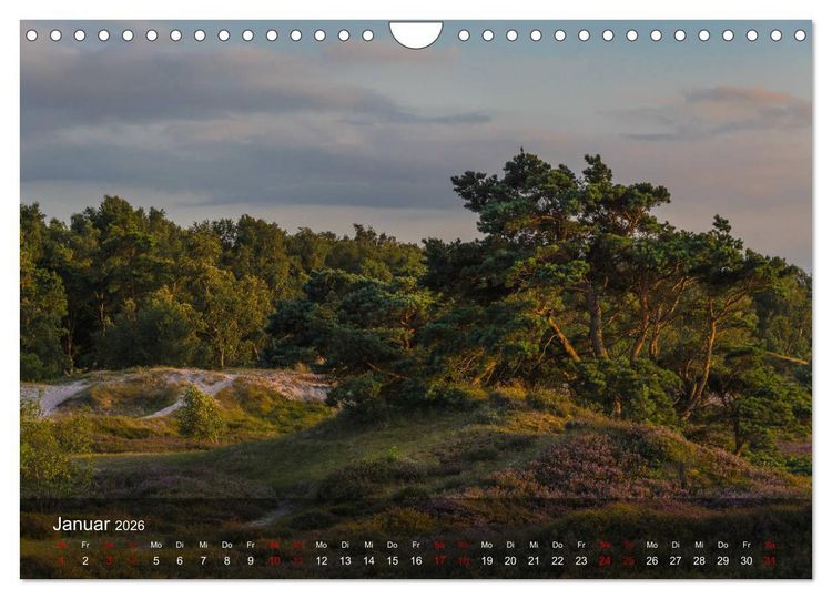 Produktbild: Insel Hiddensee - Wildromantisch unber&uuml;hrt (Wandkalender 2026 DIN A4 quer), CALVENDO Monatskalender