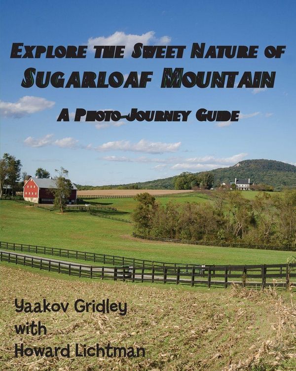 Produktbild: Explore the Sweet Nature of Sugarloaf Mountain