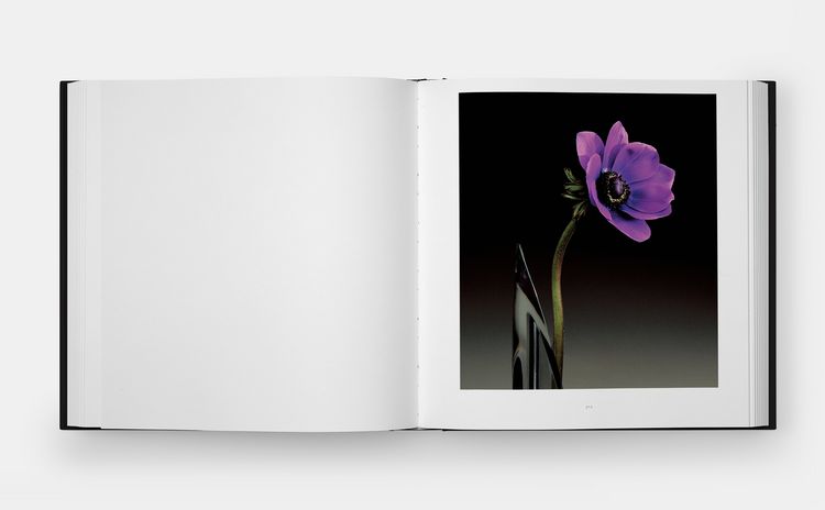 Produktbild: Mapplethorpe Flora: The Complete Flowers (2024)
