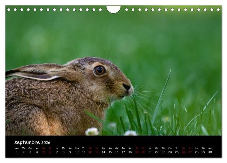 Produktbild: La nature pr&egrave;s de chez vous (Calendrier mural 2026 DIN A4 vertical), CALVENDO calendrier mensuel