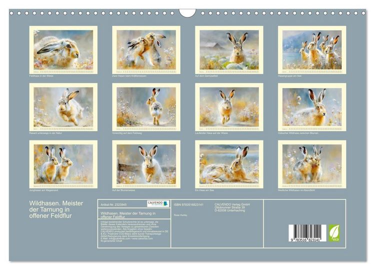 Produktbild: Wildhasen. Meister der Tarnung in offener Feldflur (Wandkalender 2027 DIN A3 quer), CALVENDO Monatskalender