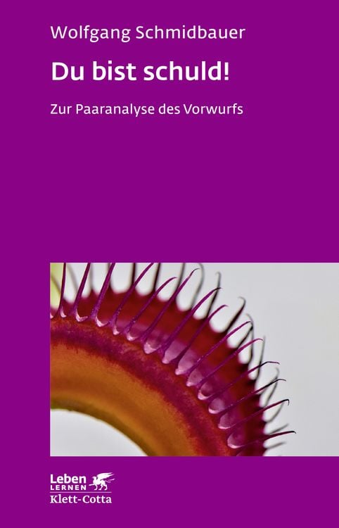 Bild vom Artikel Du bist schuld! (Leben Lernen, Bd. 315) vom Autor Wolfgang Schmidbauer