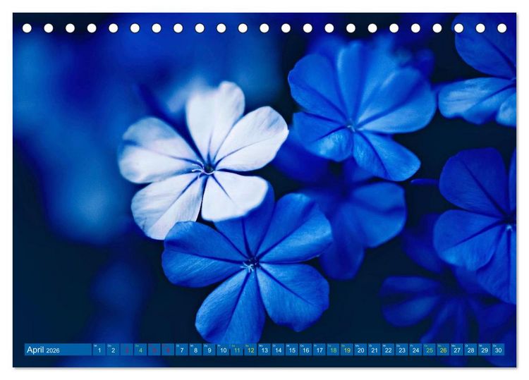 Produktbild: Die Welt in Blau (Tischkalender 2026 DIN A5 quer), CALVENDO Monatskalender