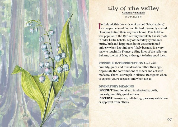 Produktbild: The Herbalist's Oracle