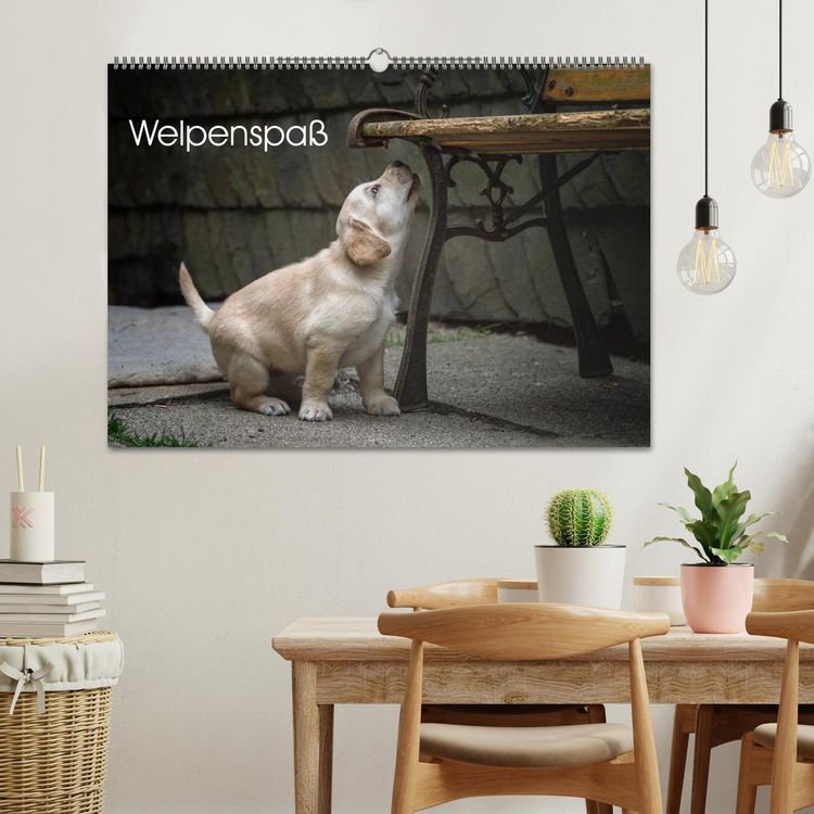 Produktbild: Welpenspa&szlig; (Wandkalender 2026 DIN A2 quer), CALVENDO Monatskalender